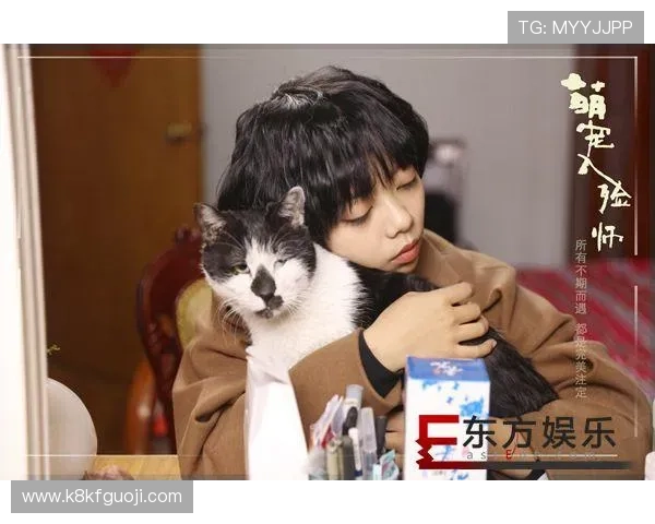 凯发娱乐娱乐官网入口：如何通过官方入口安全访问凯发娱乐娱乐平台